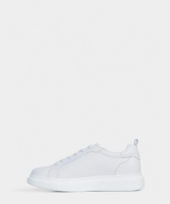 Thesteadybeat.shop00a7978119 3