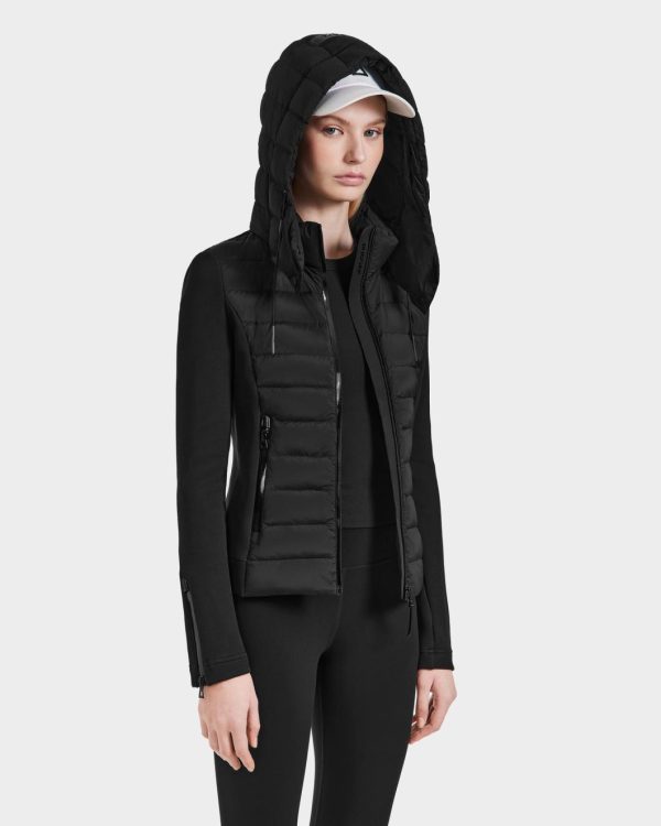 Thesteadybeat.shop04e555371c 5