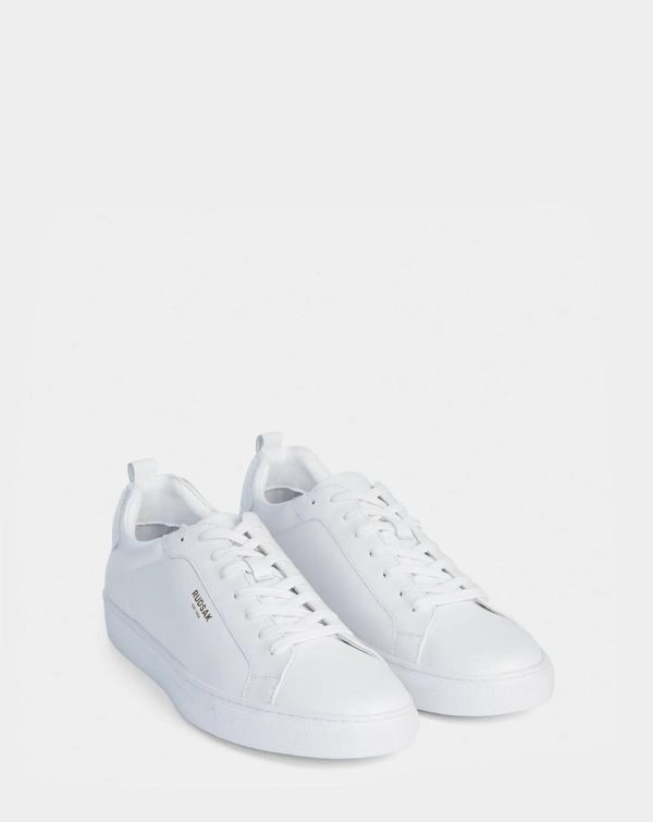 Thesteadybeat.shop4c70a8605a 5