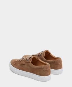 Thesteadybeat.shop4fbee57c79 3