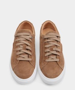 Thesteadybeat.shop4fbee57c79 4