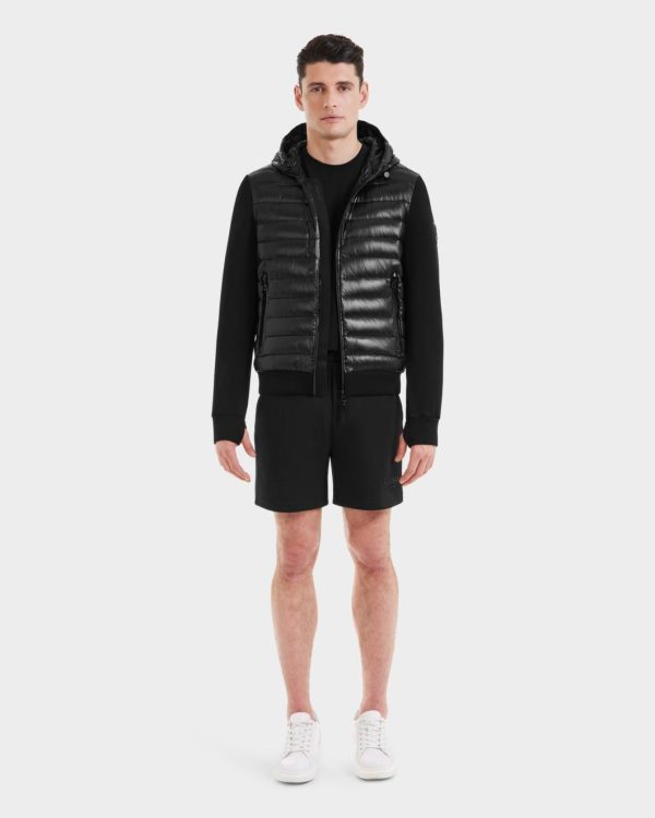 Thesteadybeat.shop8c6f3b9105 1