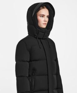 Thesteadybeat.shopb2c5dfe5e1 5