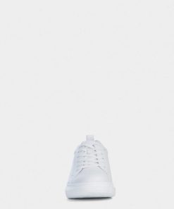 Thesteadybeat.shopc1638ced0b 2