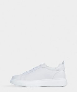 Thesteadybeat.shopc1638ced0b 3