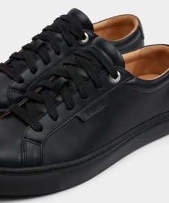 Thesteadybeat.shopd1c4b6ac52 5