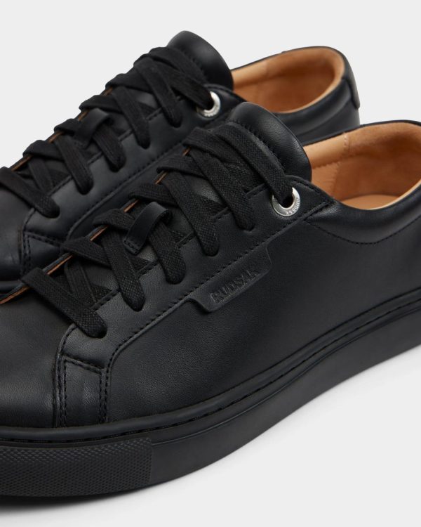 Thesteadybeat.shopd1c4b6ac52 5