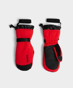 Thesteadybeat.shope9aecbf11a 1